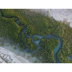 � Martina Lippuner / WWF