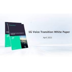 5G Voice Transition White Paper