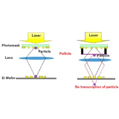 The design behind pellicles