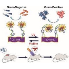  Wiley-VCH, re-use with credit to Angewandte Chemie and a link to the original article.