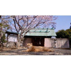Gokogu no Neko (The Cats of Gokogu Shrine). � Laboratory X, Inc.