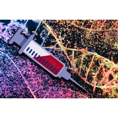 Caption:A new way to recover significantly more circulating tumor DNA in a blood sample could improve the sensitivity of liquid biopsies used to detect, monitor, and guide treatment of tumors.
Credits:Image: MIT News; iStock