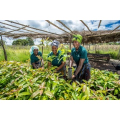 WWF and the development organization CARE have together been backing women to make their local communities and environment resilient to climate change impacts.
