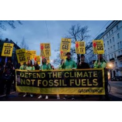 Credit:  Rafael Bittermann / Greenpeace