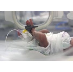 A newborn is monitored at the MSF-supported neonatal intensive care unit (NICU) at Nasser Hospital in Khan Younis, Gaza, on December 23. | Palestine 2024 © Nour Alsaqqa/MSF