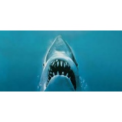 Jaws