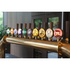 H1 2025 Financial Statement thumbnail