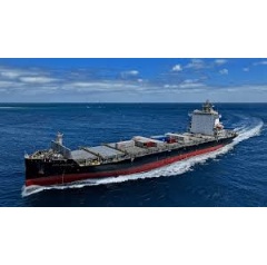 The Celandine, a ro-ro (roll-on/roll-off) vessel managed by Anglo-Eastern, a global ship management company.