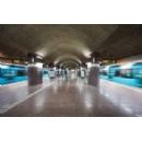 Optimally Connected, Faster, More Reliable: VGF and Siemens Mobility Present Milestone in Track Equipment with CBTC