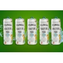 HEINEKEN Brazil brings Mamba Water to COP30