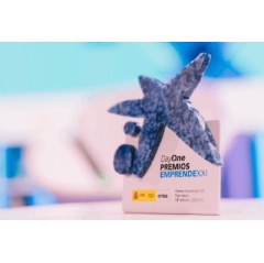 Image of the EmprendeXXI Awards award.