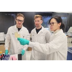 The Cellibre Team at work
The Cellibre Team f.l.t.r.: Dr. Russell Komor, Dr. Caleb Walker, Dr. Diep Nguyen
©2025 Cellibre, Inc. All rights reserved.