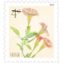 U.S. Postal Service Provides Sneak Peek at 2026 Stamps