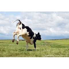 WACKERs Biosolutions division is working on a portfolio of growth factors, media proteins and peptides for use in the production of cultivated meat, i.e. (see complete caption below)