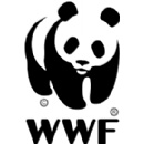 WWF: World leaders must choose to close the emissions gap for a safer, fairer future