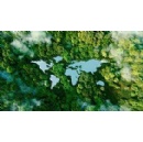 COP30: Honduras and Suriname partner with Deutsche Bank, Symrise and other industry players to mobilize financial support for rainforest protection