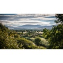 Diageo pledges up to 5m to restore Scotlands peatlands