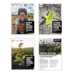 Landscape Finance Approach Toolkit
© WWF