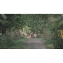 Businesses advancing social justice in food systems