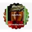 Meet the Brands: Fuze Tea