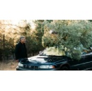 Spruce on the loose! Secure your Christmas tree before hitting the road