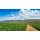 Landscape Accelerator Brazil: Turning Ambition into Action