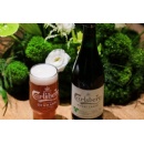 Carlsberg Asia and Meituan Elevate Strategic Partnership with First-Time Black Pearl Collaboration