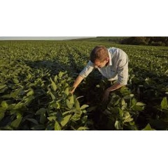 BASF Agricultural Solutions has reached an agreement with private equity firm Paine Schwartz Partners and other shareholders to acquire its portfolio group, AgBiTech, (see complete caption below)