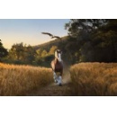 Budweiser Celebrates 150-Year Legacy in New Super Bowl LX Ad, “American Icons”