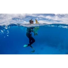 Turtle monitoring around Dravuni Island, Fiji. WWF has long backed the efforts of the local community to increase local sea turtle populations, which have been hard hit by threats (see complete caption below)