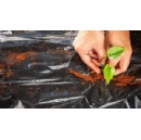 At Plastindia 2026, BASF showcases how light stabilizers extend the durability of plastics across industries