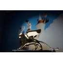 Registration now open for films and for accreditation requests