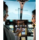 Early warning alerts to protect flight operations before delays spread