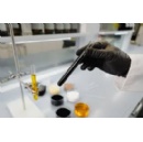 Continental to Open Tire Technology Expo with Presentation on Tire Technologies for Autonomous Driving