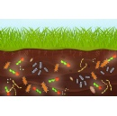 Nitrous oxide, a product of fertilizer use, may harm some soil bacteria