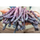 Gourmet asparagus grown in recycled coconut husk fibre to hit supermarket shelves six weeks early