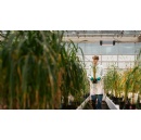 Carlsberg Group reaffirms climate commitment with updated ESG programme �Brewing Tomorrow�