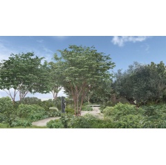 Tate Britain Garden design for Chelsea 2026. Courtesy Tom Stuart-Smith Studio.