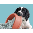 Blue Buffalo� Answers Requests for Pet-Related Tax Deductions with 