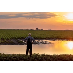 Farmers face threats from flooding, increased soil salinity and saltwater intrusion that destroy crops, endanger livestock and damage expensive farm equipment. (see complete caption below)