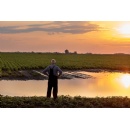 SAS, NC State and ECU deploying sensors and IoT analytics to help farmers protect crops, livestock and equipment