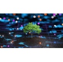 Telef�nica is driving down emissions by helping to avoid over 19 million tonnes of CO₂e by 2025 through its digital solutions