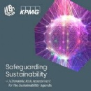 Safeguarding Sustainability: A Dynamic Risk Assessment for the Sustainability Agenda