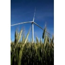 GE Vernova to supply workhorse wind turbines for Santa Maria de las Fuentes Wind Farm in Spain