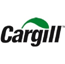 Cargill strengthens its sunflower processing capability with multimillion dollar investment in France