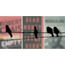 The Best in Mystery: Our 2026 Edgar Awards Winners