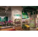 Whole Foods Market to Bring its Daily Shop Concept to Three New U.S. Markets