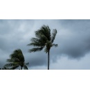 Ahead of hurricane season, Duke Energy Foundation awards $130,000 to 10 organizations advancing storm preparedness and community resiliency
