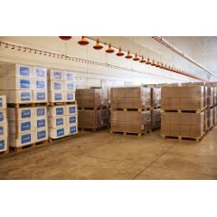 UNICEF/UN0609460/Moskaliuk