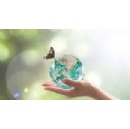 Telef�nica ranks among the world�s leading companies in sustainable supplier management according to CDP
